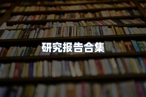 研究报告合集